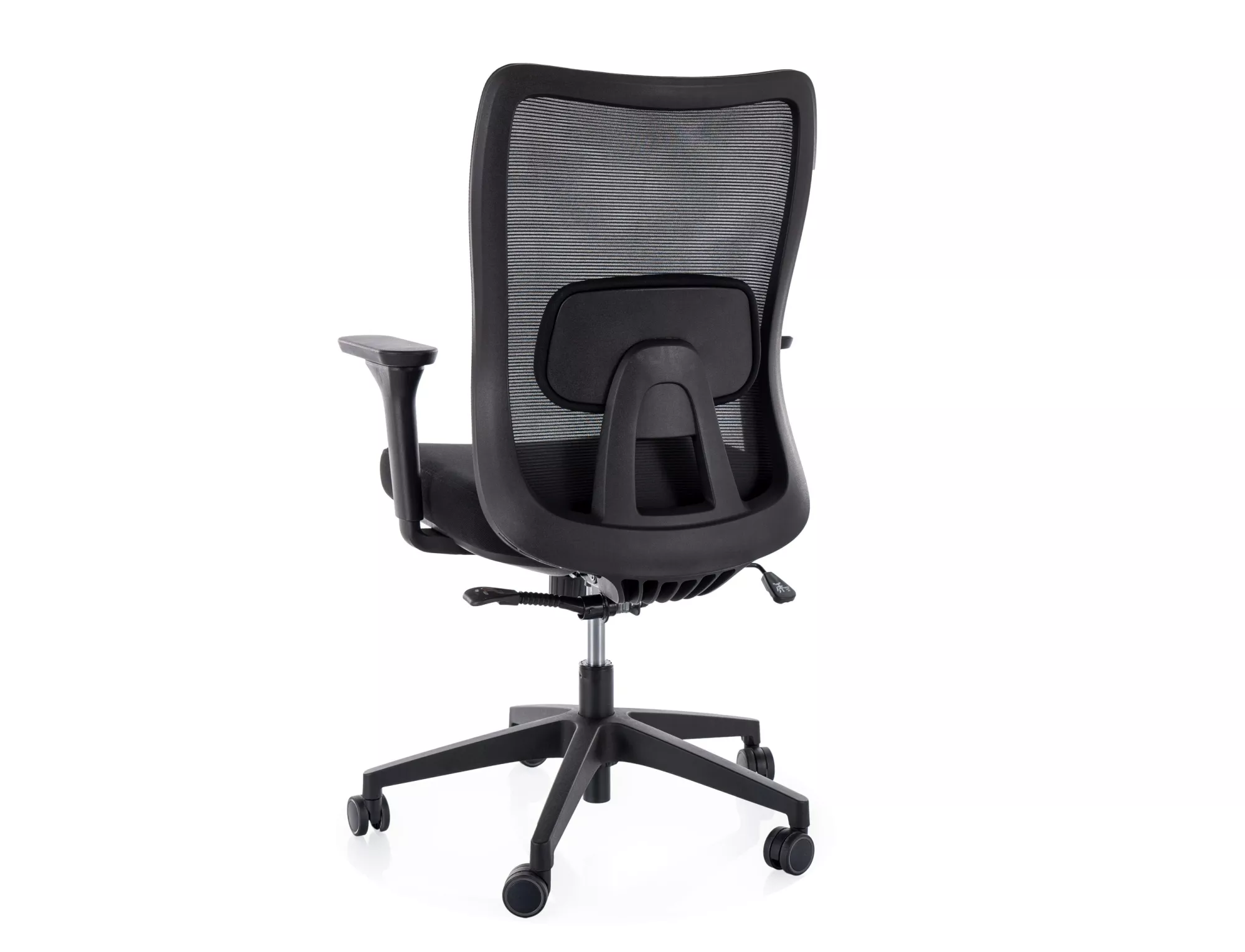 Product View 1
