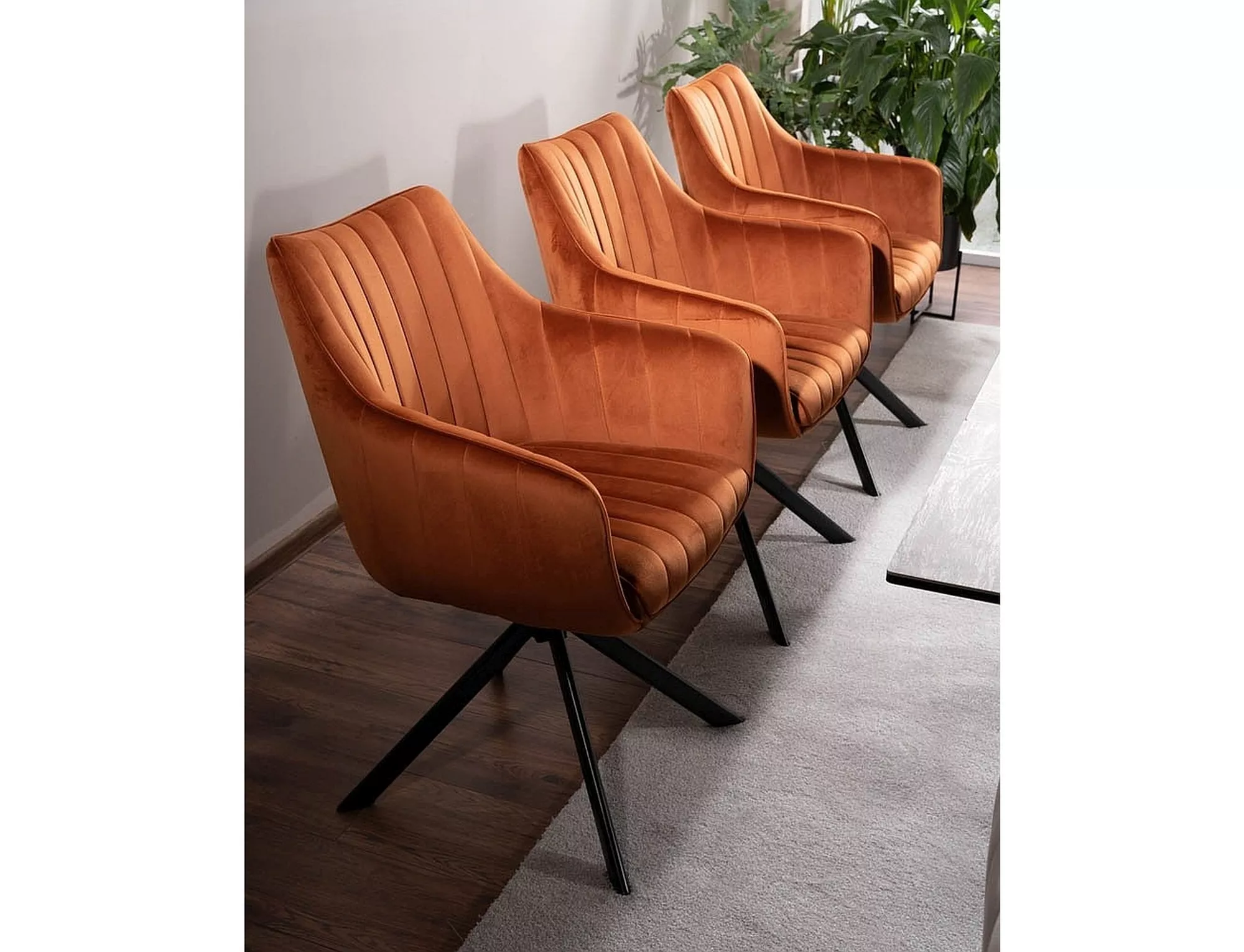 Product View 1