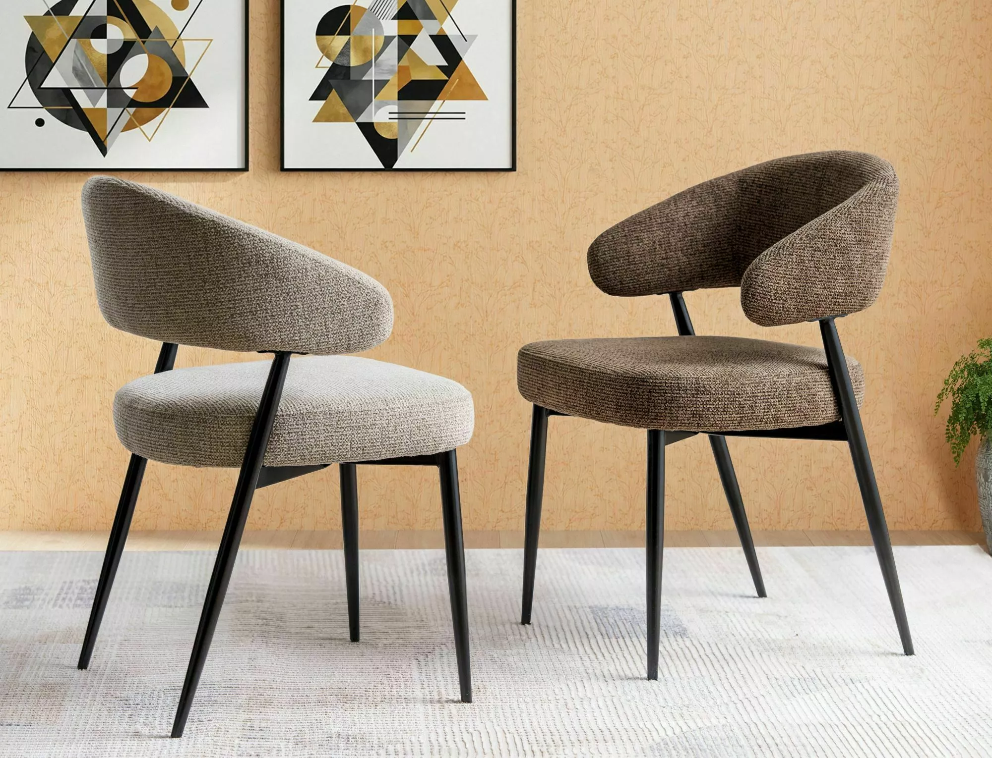 Jedálenská stolička Lucio Noelle, cappuccino