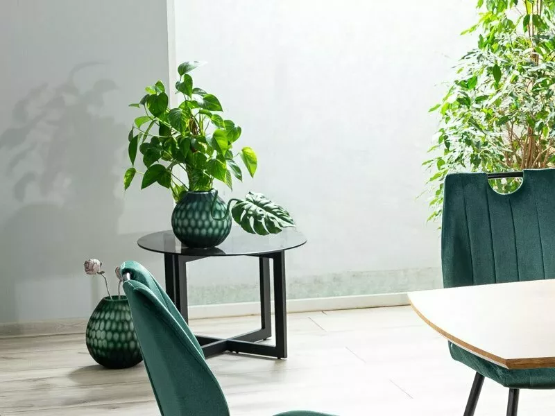 Product View 1