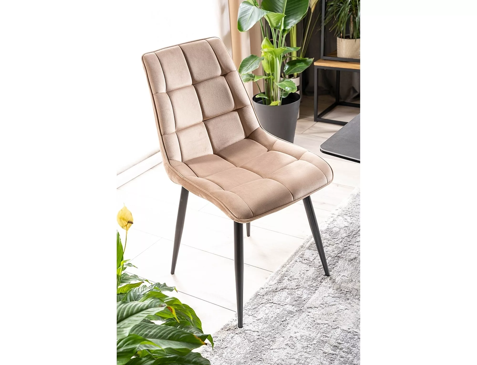 Jedálenská stolička CHIC VELVET čierna konštrukcia / béžová BLUVEL 28