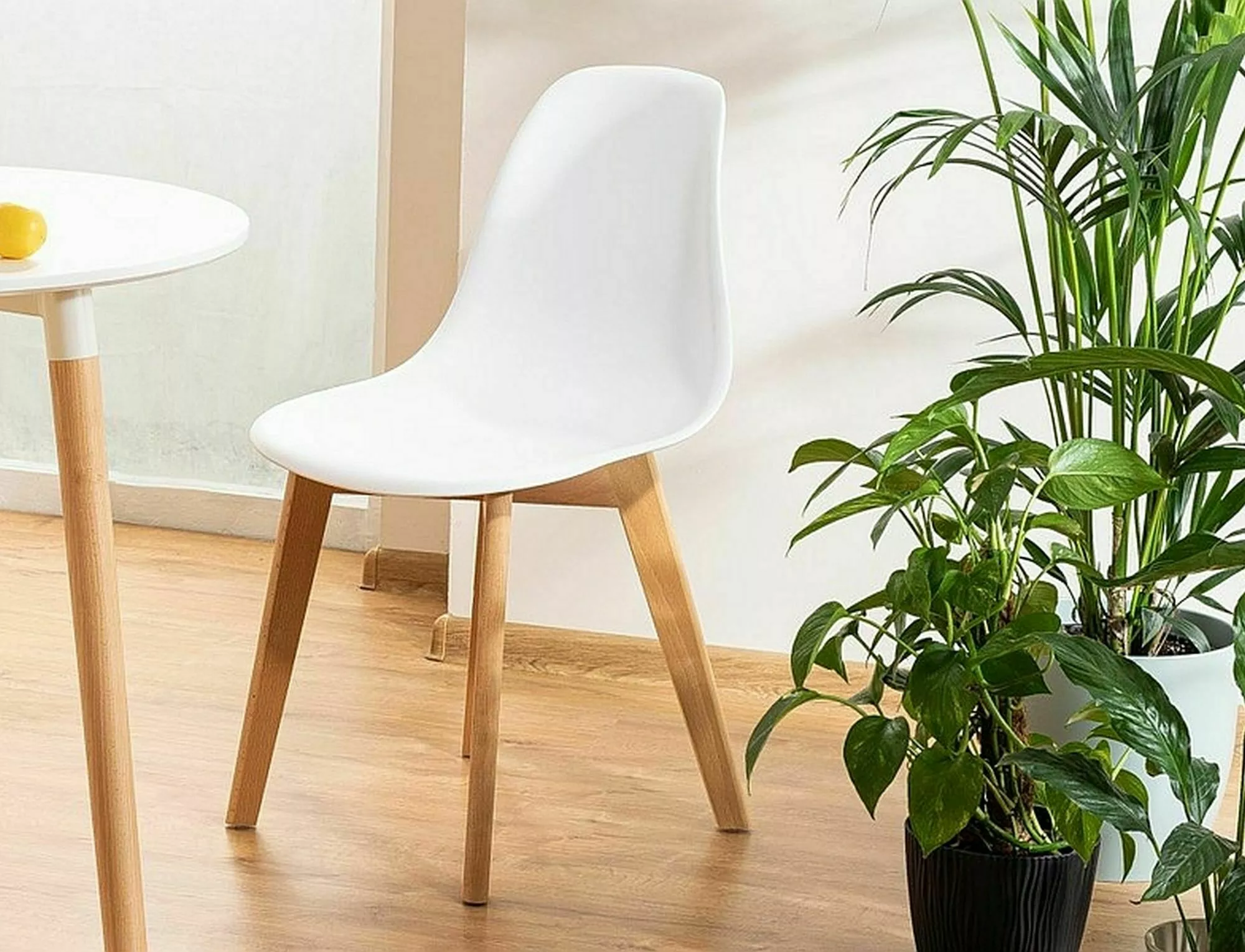 Product View 1