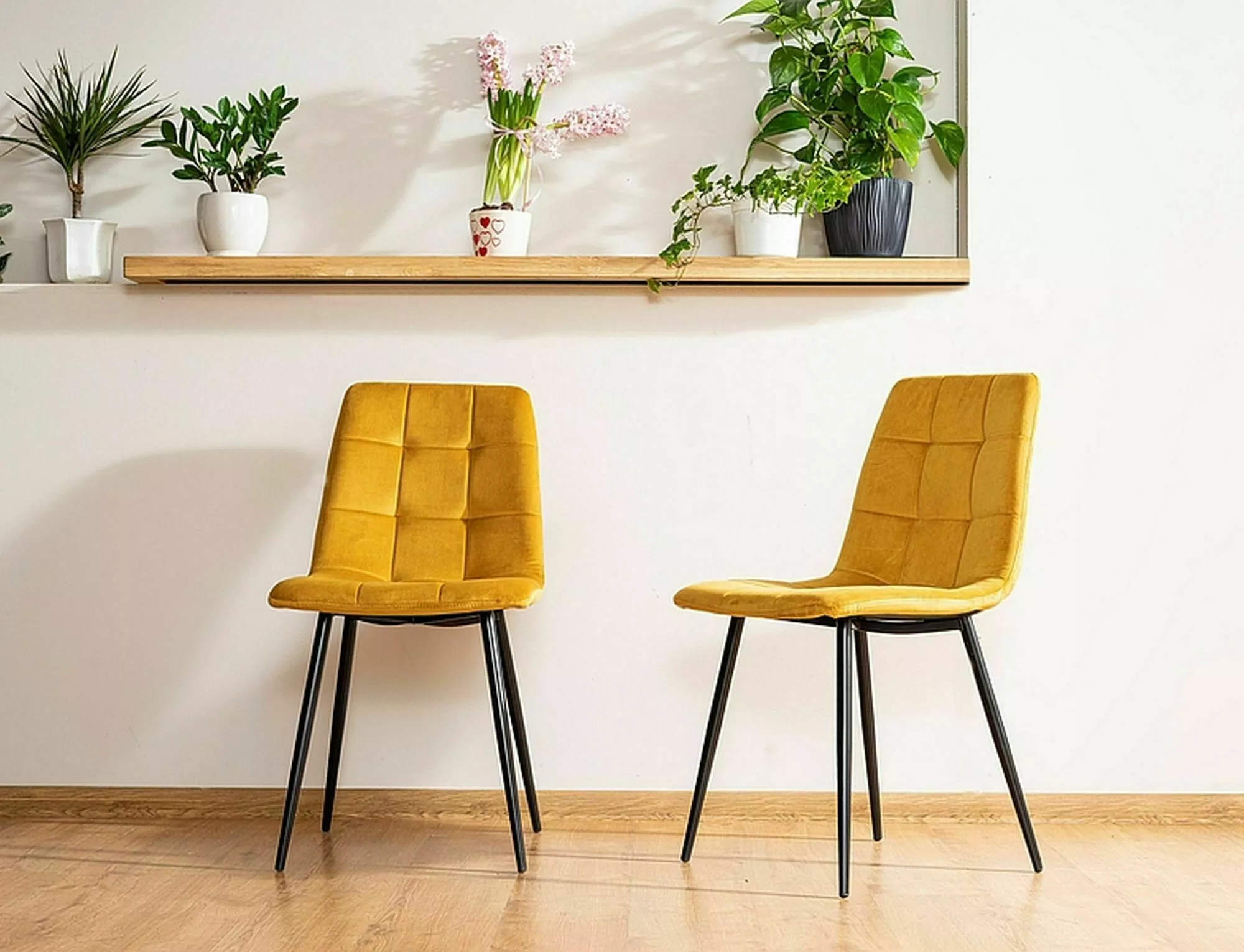 Jedálenská stolička MILA VELVET čierna konštrukcia/kari BLUVEL 68