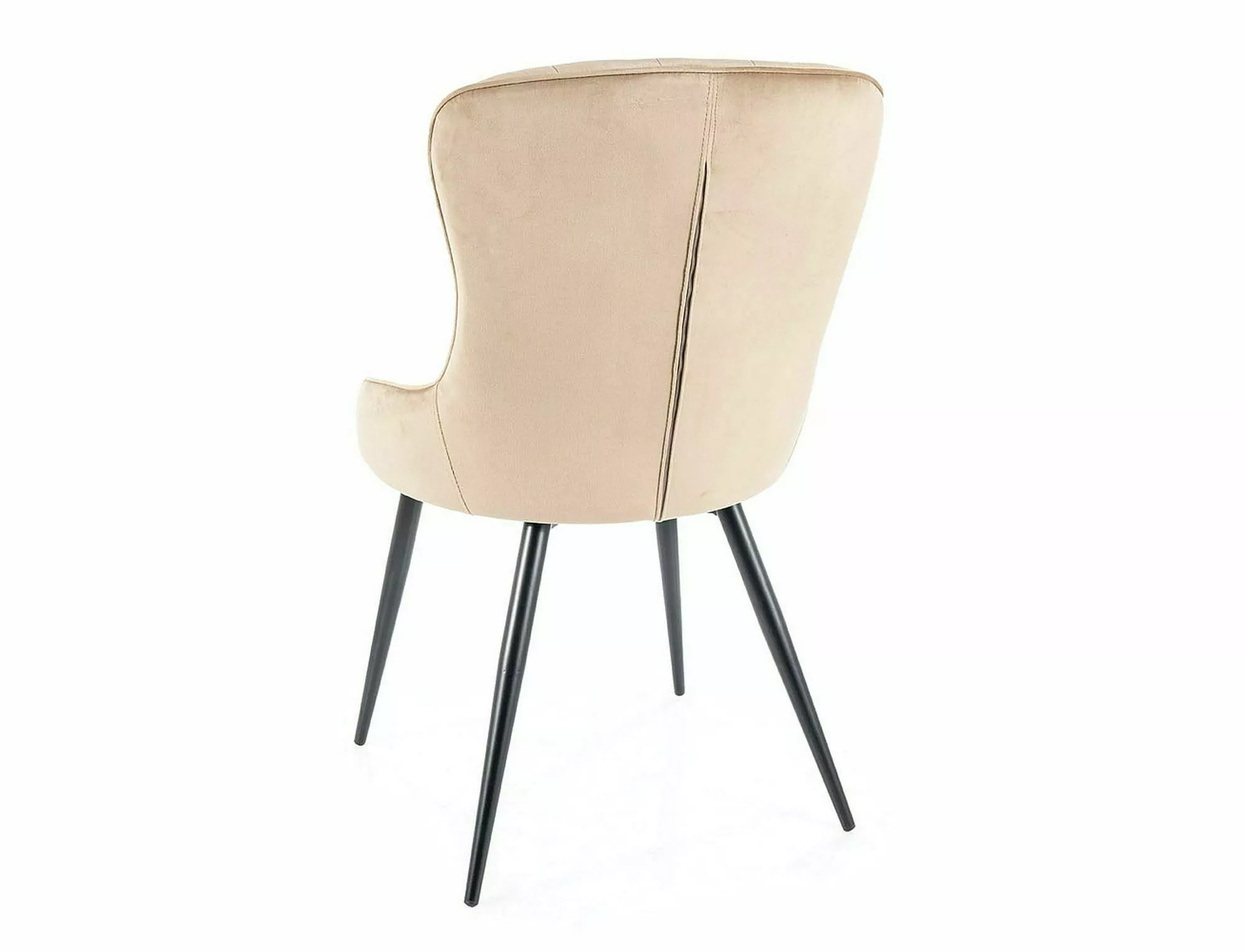 Product View 1