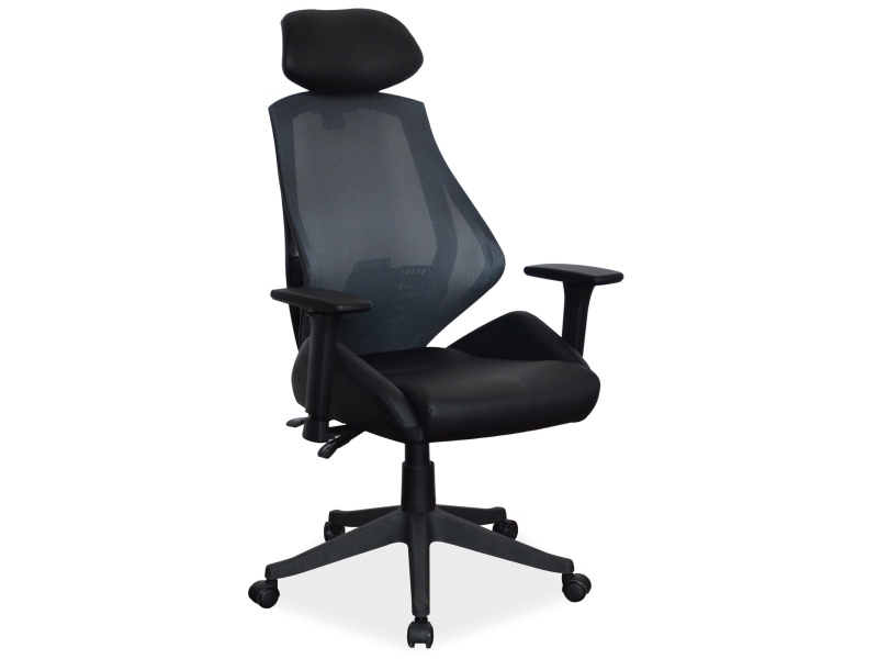 Product View 1