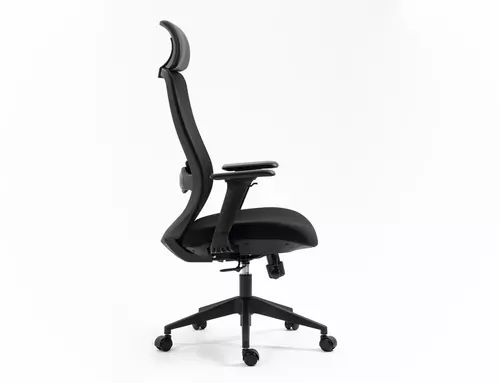 Fotel obrotowy Ergon 1
