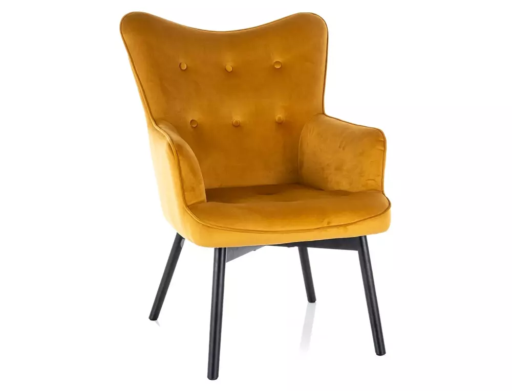 Fotel Carmen Velvet 1