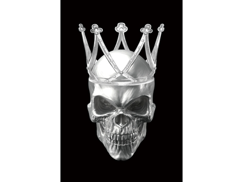 Obraz Skull II 1