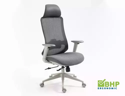 Fotel obrotowy Ergon 1