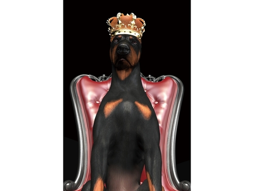 Obraz Dog in Crown 1